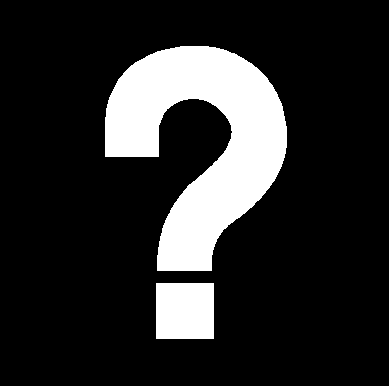 American Robin - Wanderdrossel